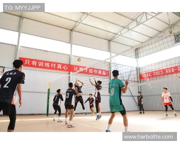 上海排球队状态分析与表现评估:数据透视与趋势解读